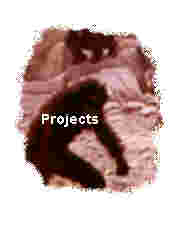 Projects